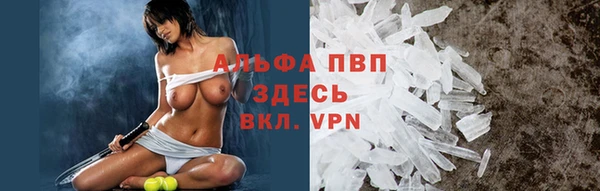 прущие крисы Арсеньев