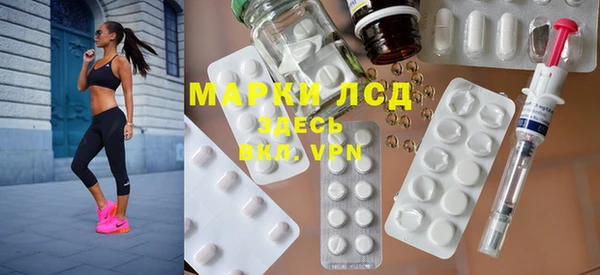 индика Снежногорск