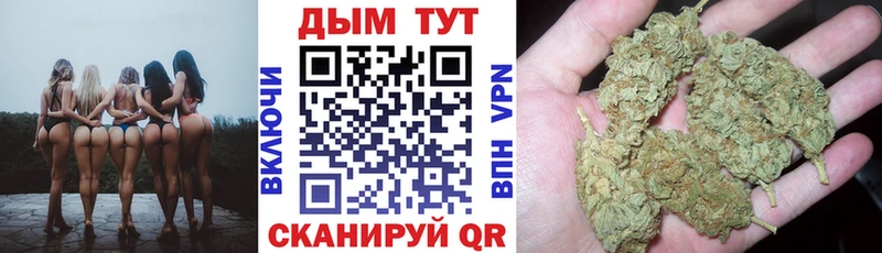 Конопля гибрид  даркнет сайт  МЕГА как зайти  Советская Гавань 